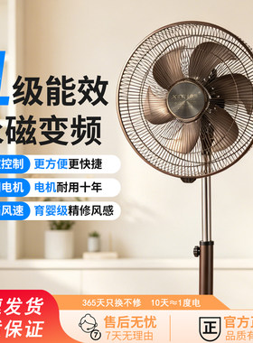 轻音低噪直流无刷变频遥控落地扇