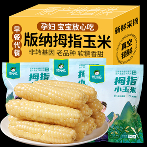 云南西双版纳拇指玉米新鲜手指小玉米儿童早餐即食紫黑糯米