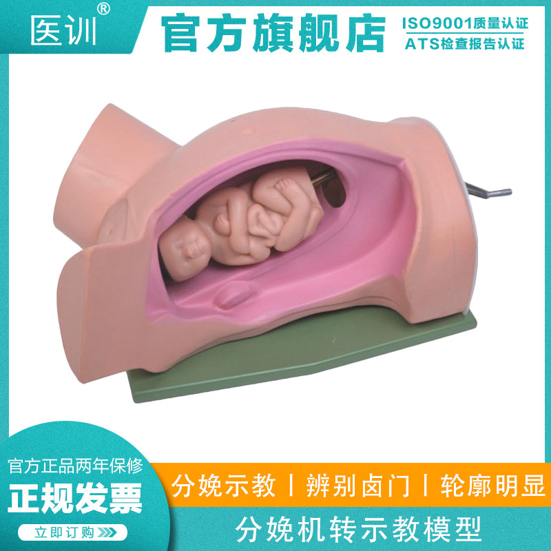 医训 yx/5高级分娩机转示教模型妇幼产科胎儿接生助产演示过程难产