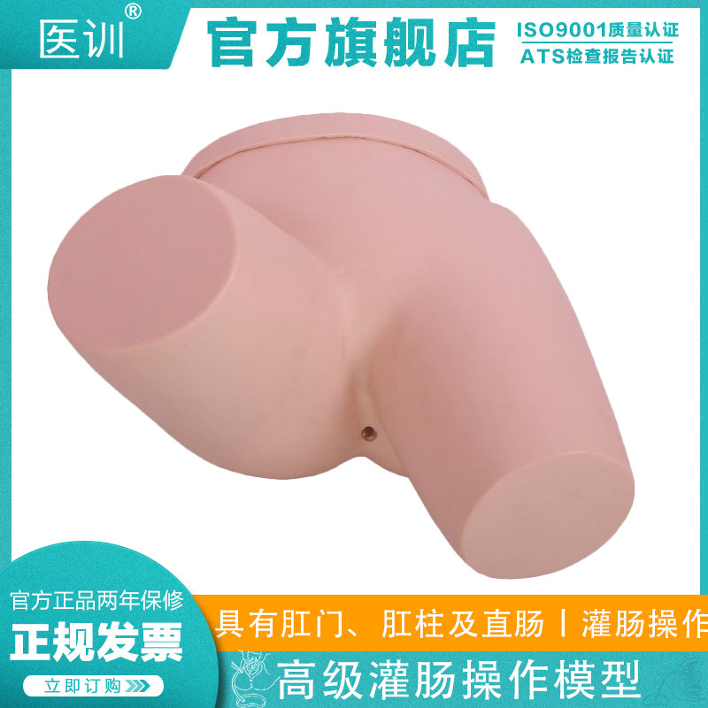 医训15B灌肠操作模型成人臀部肛门肛柱直肠结构模型可反复进行练习