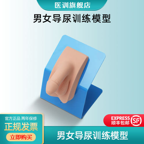 高级模型着装式男性导尿模医训
