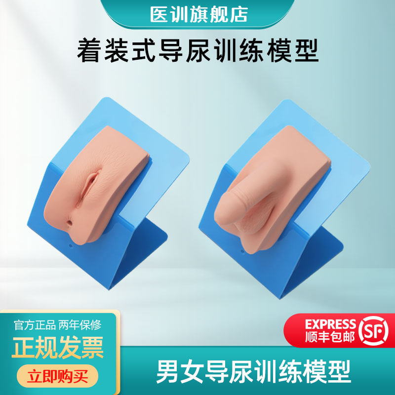 医训YX/28F高级着装式女性导尿模型外阴护理操作模块真实导尿操作训练模型人可穿戴模拟人教学
