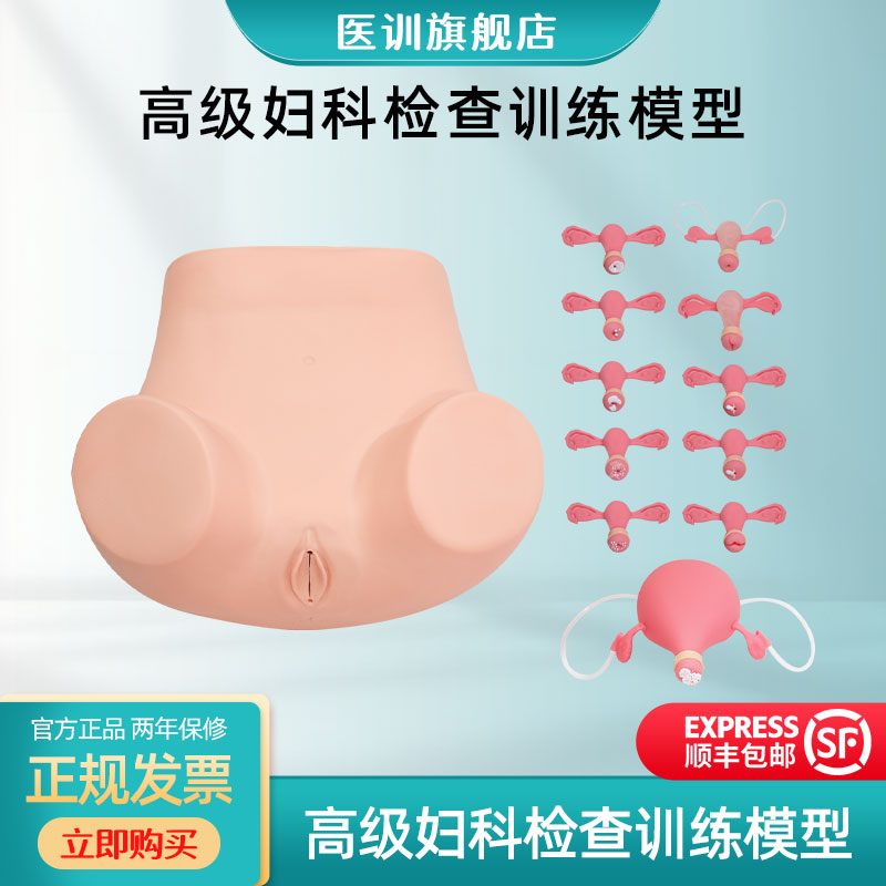 高级妇科检查模型医训