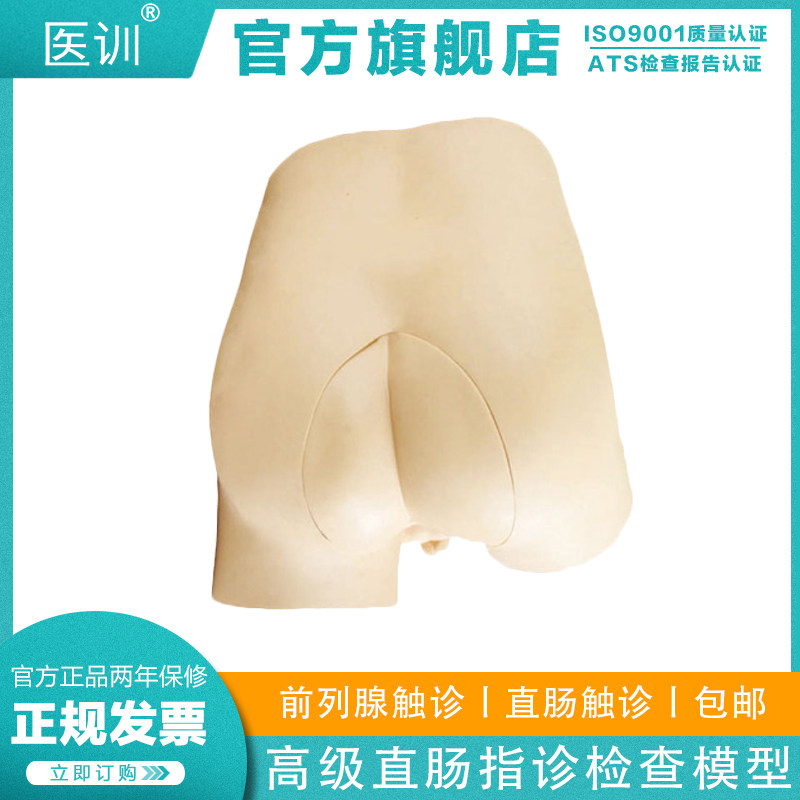 医训 YX/LV39高级直肠指诊检查模型 前/列腺触诊模型 肛门检查诊断诊治模型