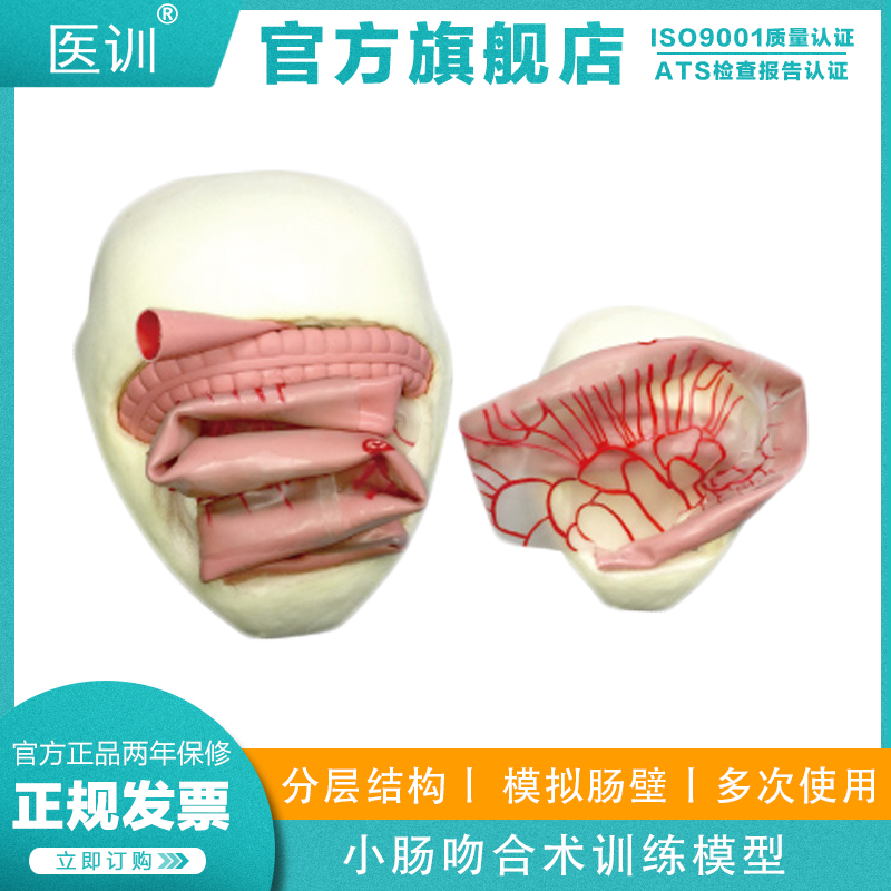 医训 yx/lv21小肠吻合术训练模型
