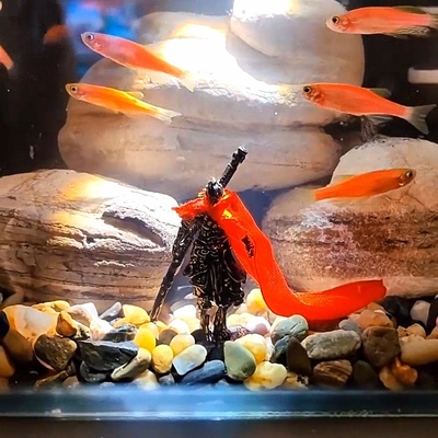 黑神话孙悟空桌面小摆件齐天大圣斗战胜佛小米鱼缸造景改造装饰