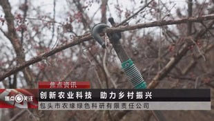 新便携式 枣皮山茱r萸采摘机农缘震动果实收获萸肉摇枣电动沙棘打