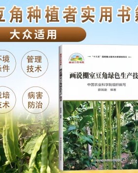 正版画说棚室豆角绿色生产技术薛骑乐豆角种植技术豆角病虫害防治及安全用药大棚蔬菜种植技术书豆角种植生产技术全书豆角种植书籍