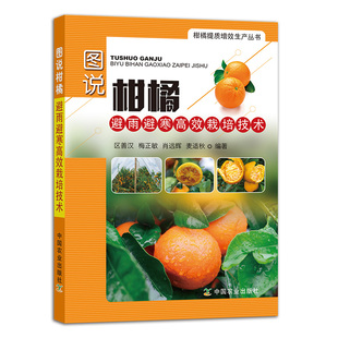 【中国农业出版社正版】图说柑橘避雨避寒高效栽培技术 区善汉 梅正敏 肖远辉 麦适秋