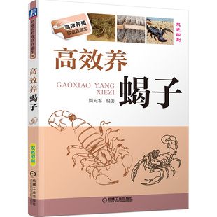 高效养蝎子 科学办好蝎子养殖场 蝎子养殖指南 蝎子养殖技术大全 科学饲养蝎子养殖场建设9787111446392
