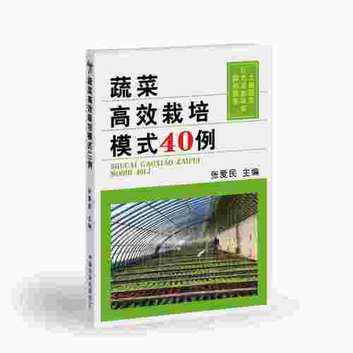 中国农业出版社蔬菜高效栽培模式
