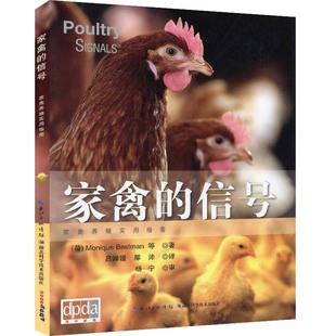 家禽的信号 荷兰引进版 养鸡技术肉鸡养殖养鸡书籍鸡病防治