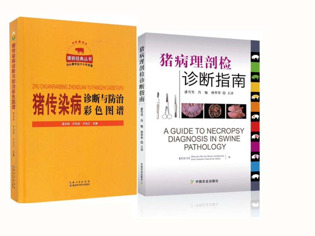 猪传染病诊断与防治彩色图谱+猪病病理剖检诊断指南 套装两本 养