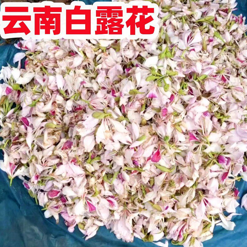 白露花云南特产野菜大白花纯野生百花菜可炒可凉拌山货焯水过山货