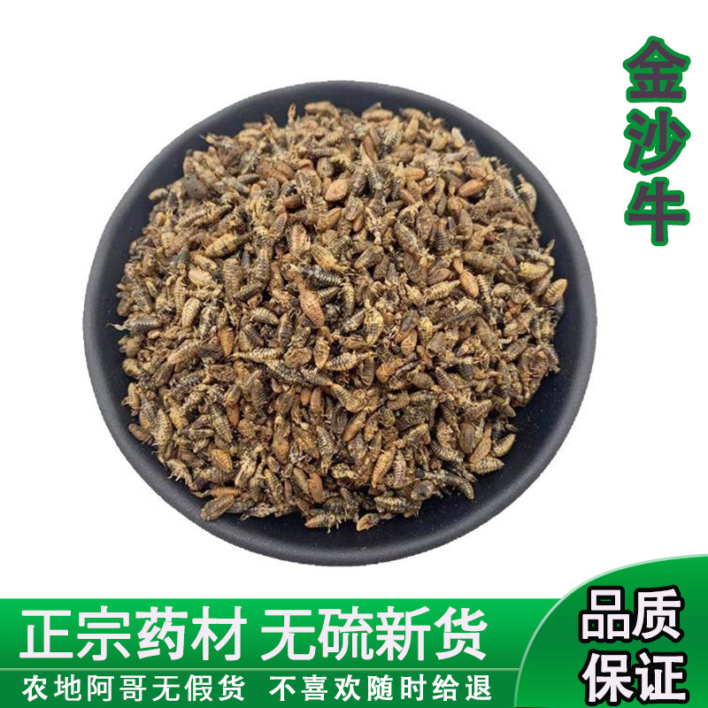 金沙牛中药材广西野生蚁狮金砂牛蚂岭虫10g无杂质地牯牛沙牛虫