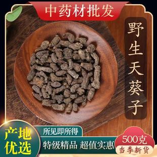 天葵子中药材500g正品千年老鼠屎野生紫背天葵新鲜干货精选