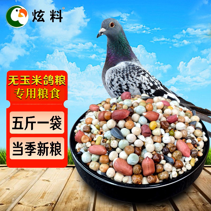 炫料鸽粮无玉米混合粮山东豌豆鸽子饲料观赏鸽信鸽鸟食大全
