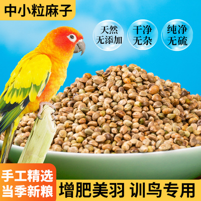 炫料火麻仁鹦鹉鸟粮牡丹鸟食
