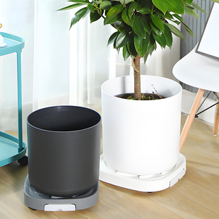 大口径树脂花盆办公室客厅散尾葵幸福树龟背竹天堂鸟专用花盆大号