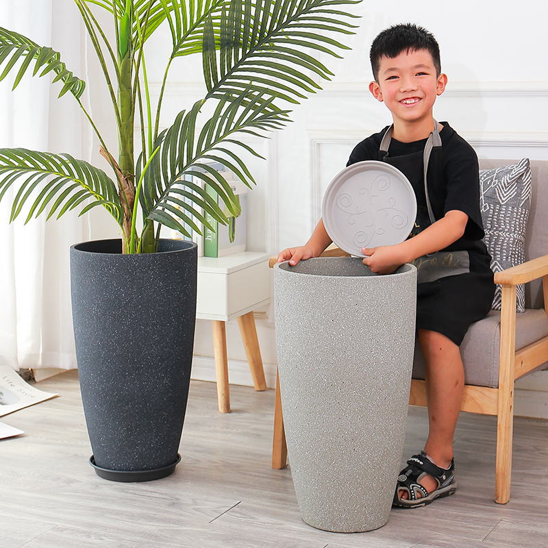 塑料天堂鸟北欧式滴水观音美人蕉