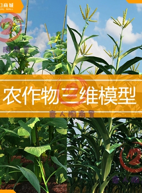 3dsmax模型室外农作物田地 蔬菜水果 大棚 黄瓜茄子3dmax动画模型