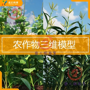 3dsmax模型室外农作物田地 蔬菜水果 大棚 黄瓜茄子3dmax动画模型
