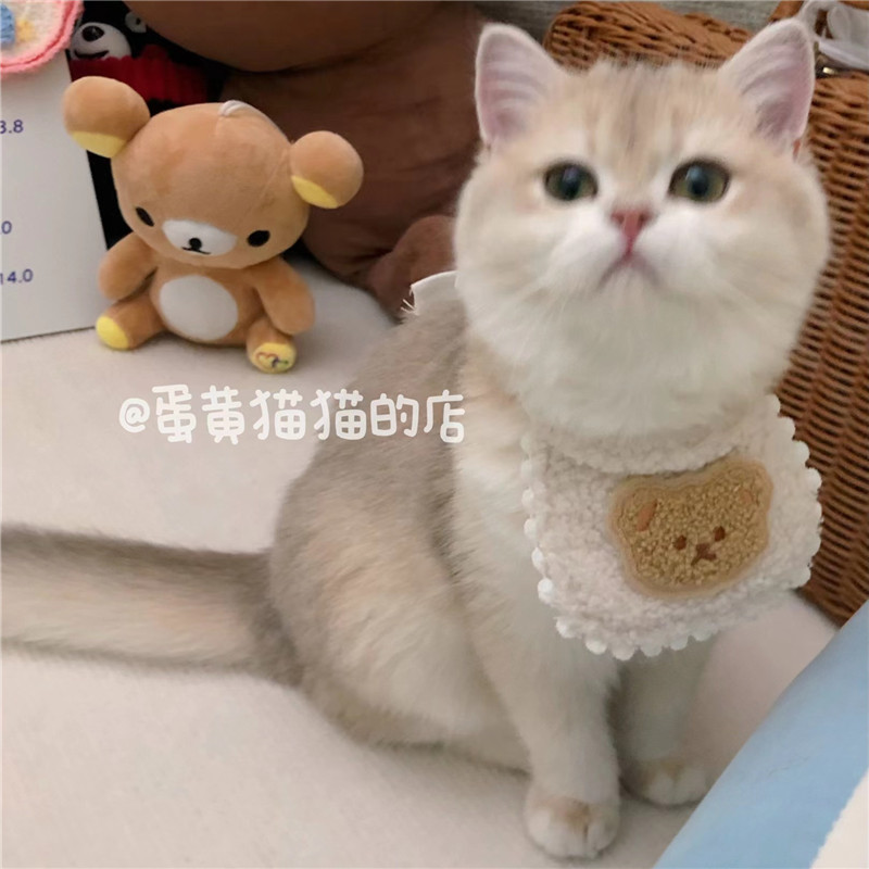 蛋黄猫猫/ins可爱宠物围脖猫咪狗狗围巾口水巾拍照装饰品项圈围兜