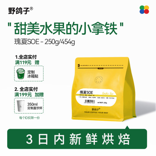 野鸽子埃塞俄比亚瑰夏soe