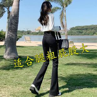 微喇牛仔裤女2024年春秋冬款梨形弹力小个子大码胖mm喇叭马蹄裤子