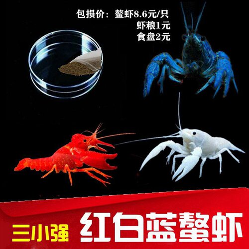 侏儒鳌虾销量排行榜 侏儒鳌虾品牌热度排名 小麦优选