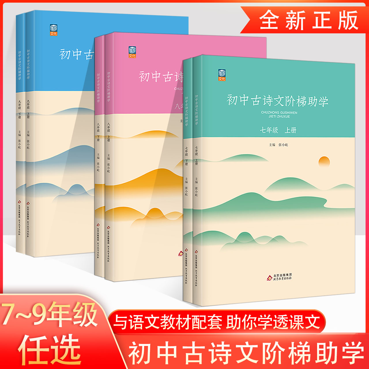 2022初一二三中古诗文阶梯助学初中名著阶梯助读语文同步写作每日一文阅读课堂全解一本通七八九年级基础知识演练课文内容解析