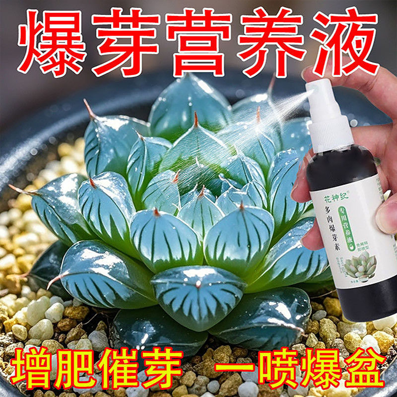 多肉营养液增色爆芽有机肥料家用植物直喷专用免稀释多肉营养士