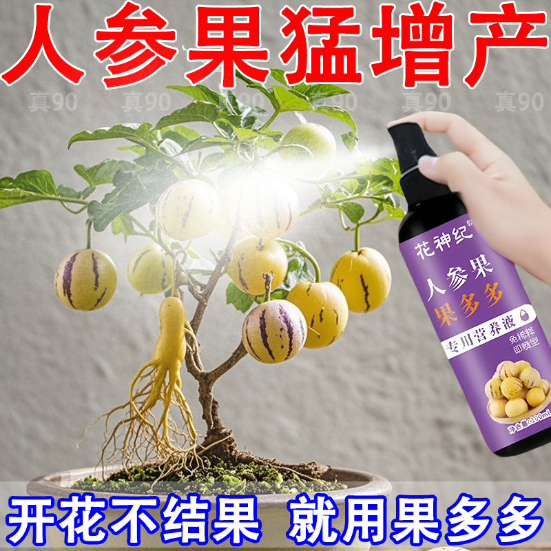 人参果营养液一喷促花狂坐果授粉保果防裂花多果壮挂满枝大丰收