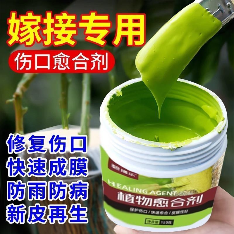 树木伤口愈合剂愈合膏涂补剂盆景植物嫁接果树大树涂切口人工树皮