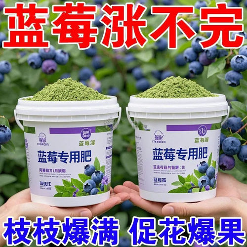 蓝莓树专用肥复合肥料硫酸钾蓝莓营养液长期坐果增甜防烂根促发芽