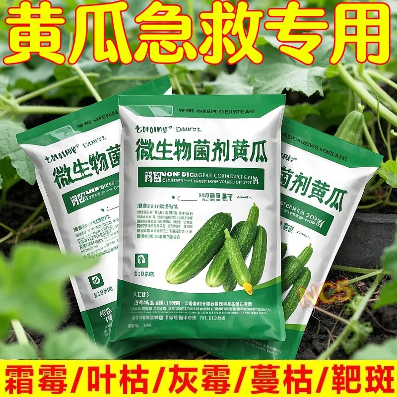 微生物菌剂黄瓜专用型促花保果膨大增粗杀菌抑菌防早衰抗病增产