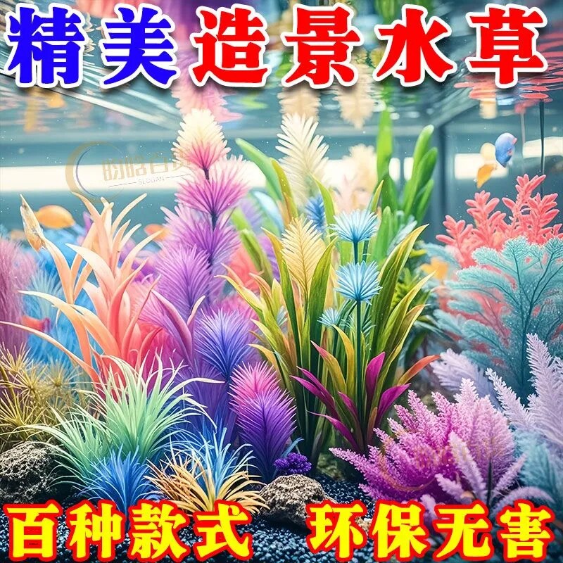 鱼缸懒人水草植物淡水有茎草缸造景水族箱中后景沉木水草桌面套餐