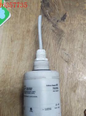 E+H液位计探头fdu91-rg4aa d-79689(议价)