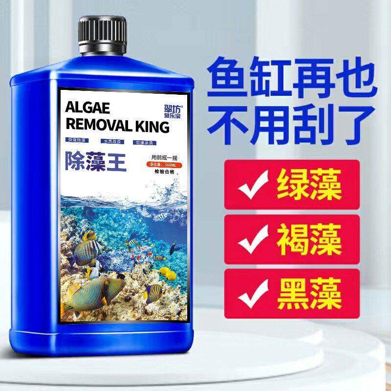 鱼缸除藻绿水黑毛藻褐青