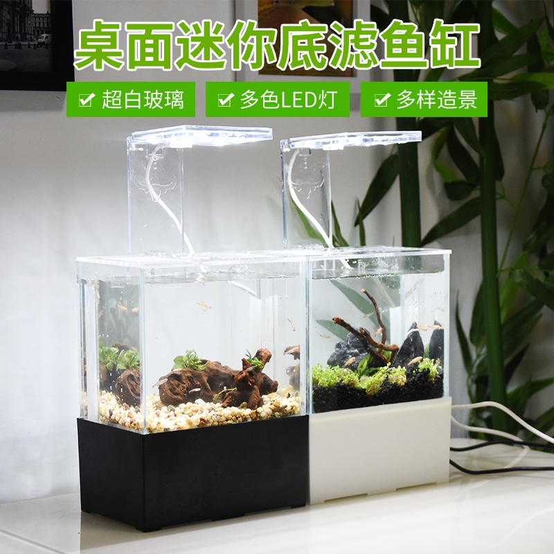 迷你海水缸价格 迷你海水缸图片 星期三 迷你海水缸价格 迷你海水缸图片 星期三