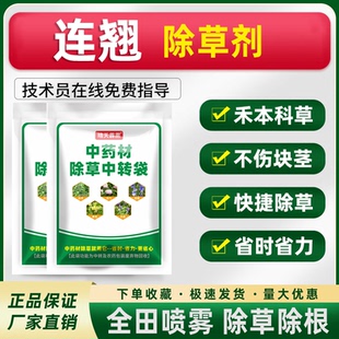 连翘苗后除草剂连翘白芷中药材苗后除草药牛筋草灰灰菜除草剂正品