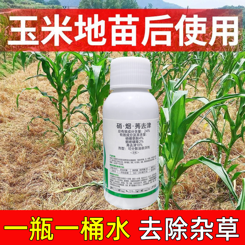 玉米苗后农用除草剂硝烟莠去津玉米地苗后封闭除草烂根剂农药