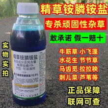 精草铵磷铵盐正品除草剂精草胺磷草铵膦草安磷果园杀草烂根剂农药