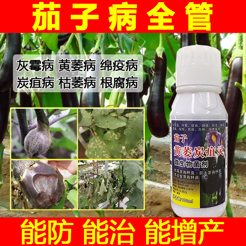 茄子专用药茄子黄萎病炭疽病疫病灰霉病根腐病枯萎病茄子病害专用