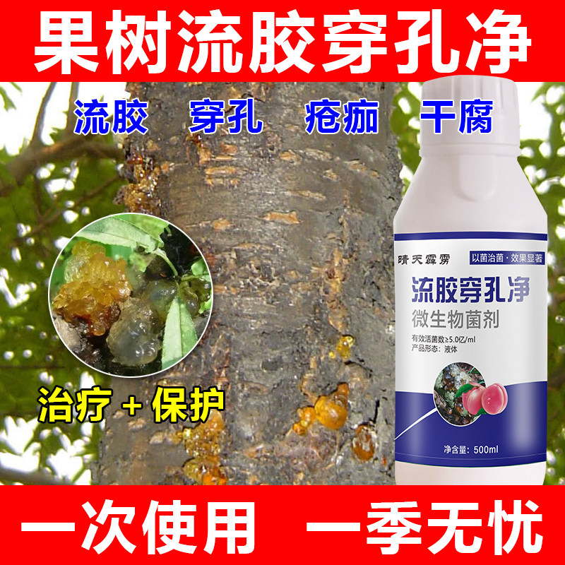桃树流胶病专用药缩叶病流胶穿孔一喷净桃树流胶病专用药