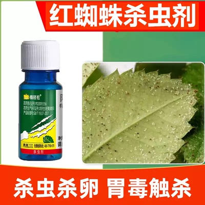 红白蜘蛛正品药月季玫瑰茉莉花卉植物杀虫杀螨剂花药阿维菌素家用