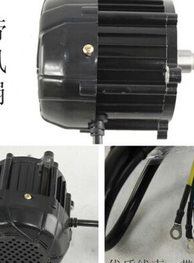 极速电动车电机 三轮车配件48v500w800w60v1000Uw巨杰无刷差速电