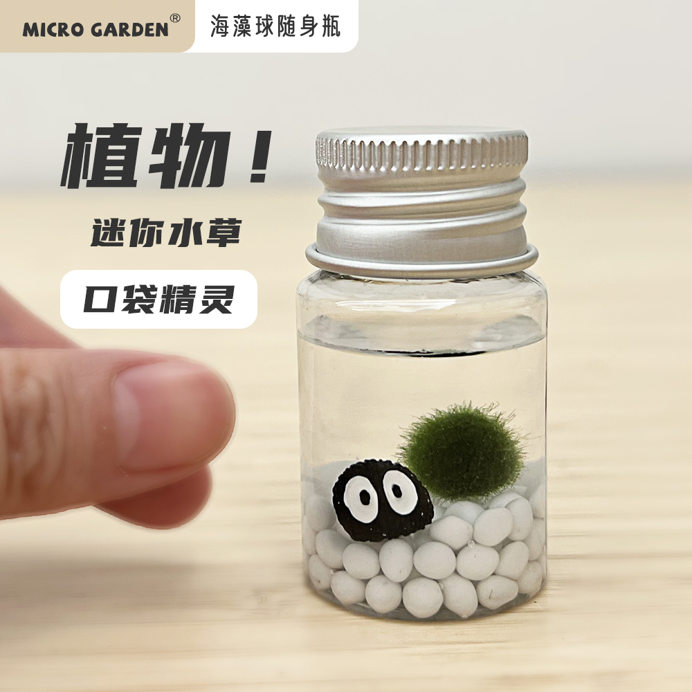 MICROGARDEN宿舍植物口袋精灵