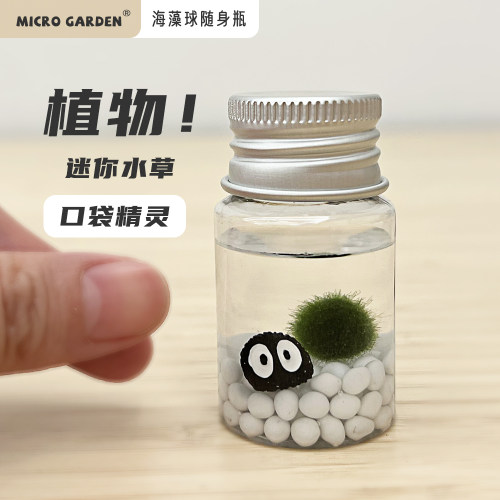 MICROGARDEN宿舍植物口袋精灵