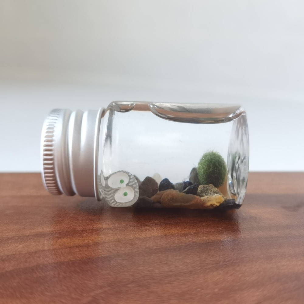 学生情绪植物小海藻球寂寞无聊陪伴好养易活的省事巨小生态瓶随身,鲜花速递/花卉仿真/绿植园艺,海藻球,淘宝优惠券,粉丝福利购,淘宝优惠卷